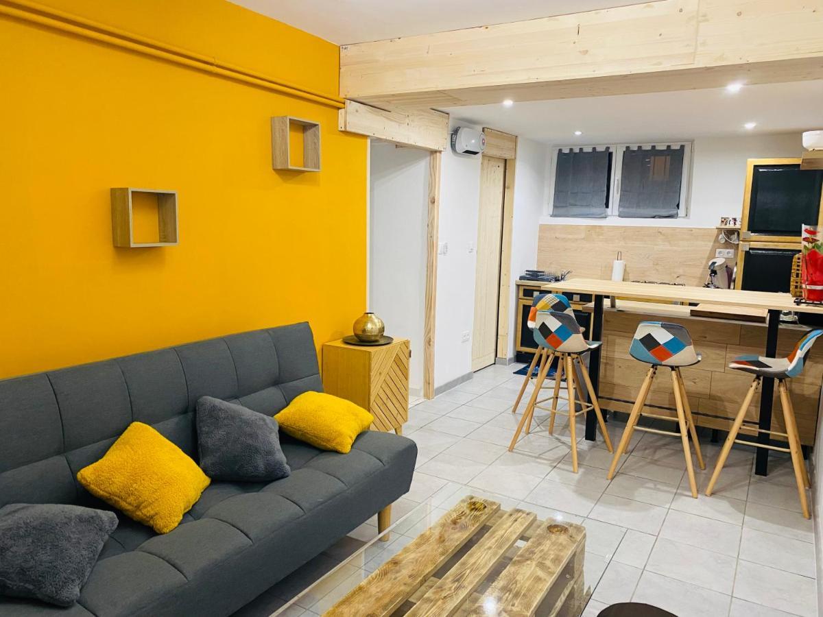 Studio 40M2 Plein Pied Avec Parking Jussac Eksteriør bilde