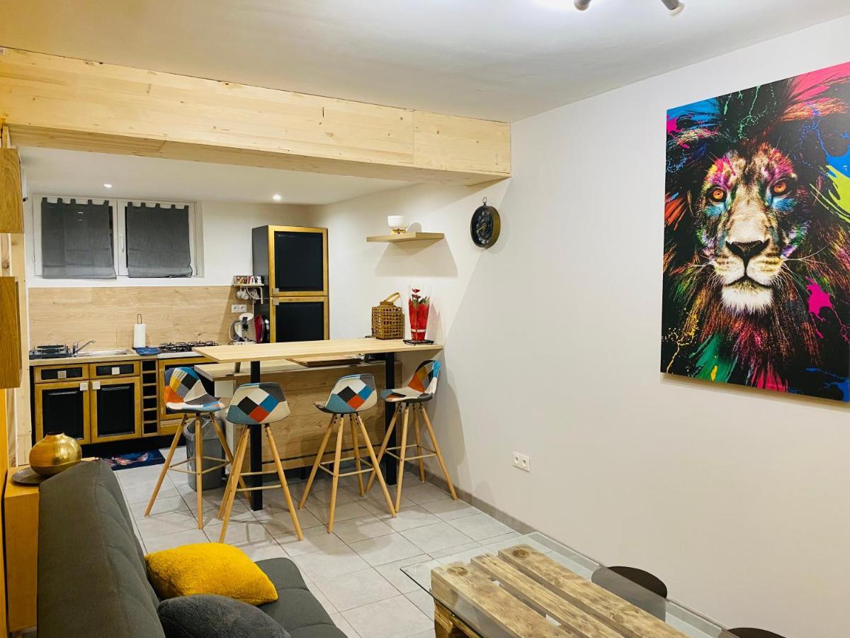 Studio 40M2 Plein Pied Avec Parking Jussac Eksteriør bilde